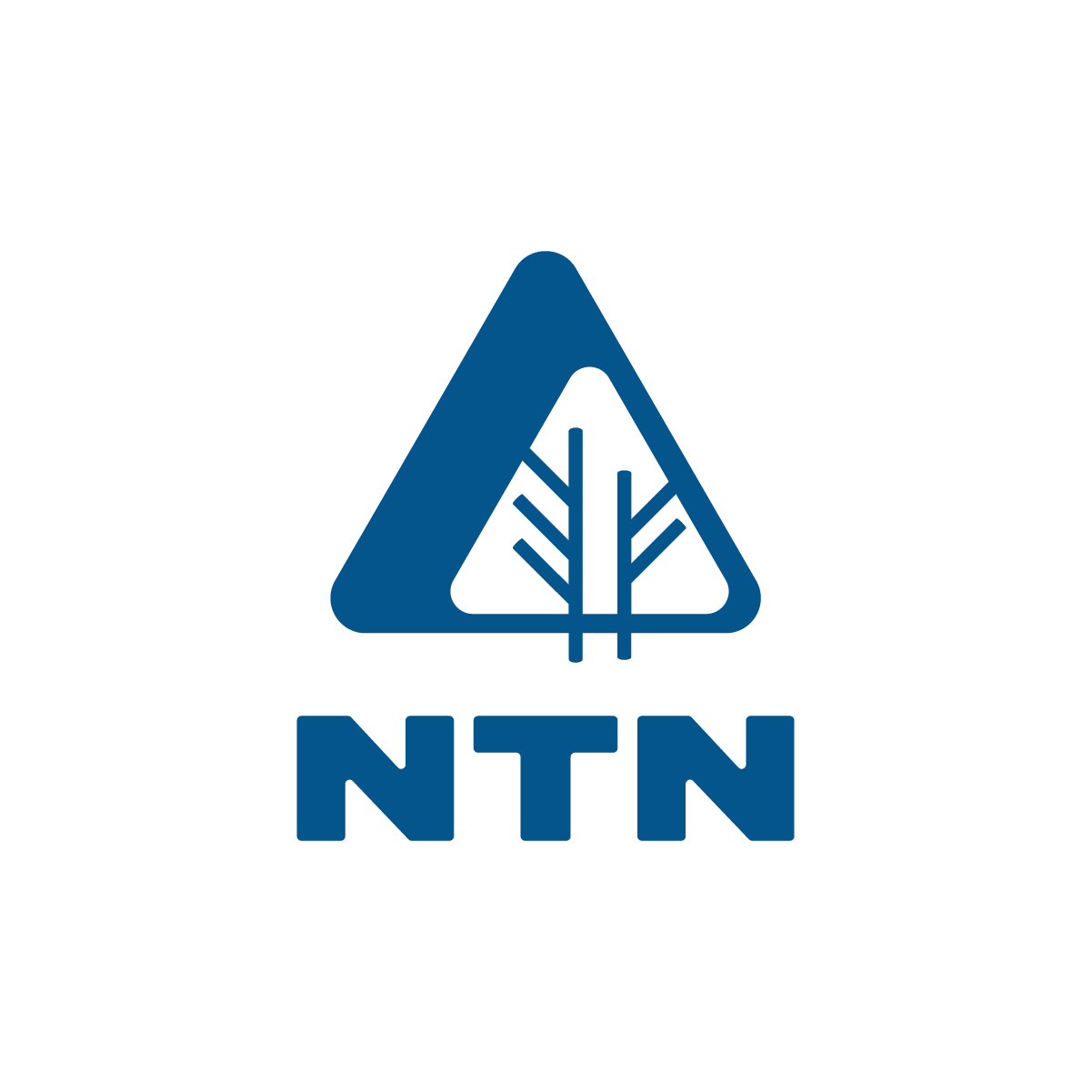 About — NTN